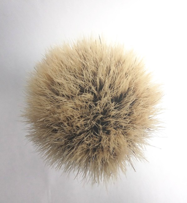 11574 Omega Pure bristle 