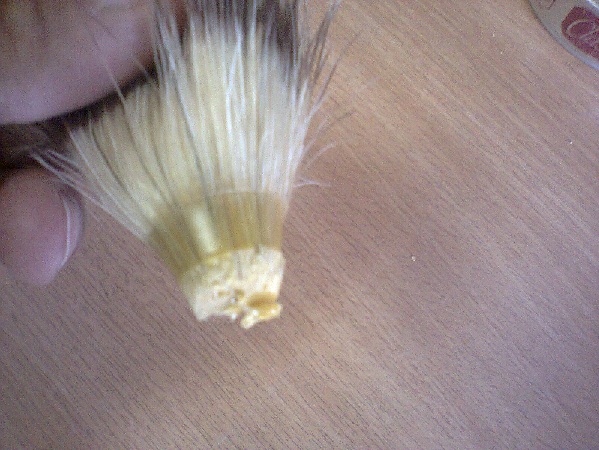 balinea1